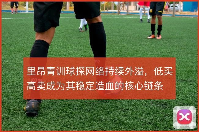 里昂青训球探网络持续外溢,低买高卖成为其稳定造血的核心链条