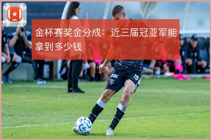 金杯赛奖金分成:近三届冠亚军能拿到多少钱